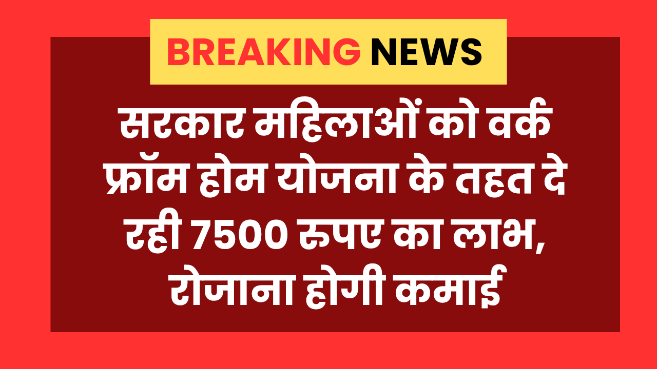 Women Work From Home के तहत सरकार दे रही 7500 रुपए का लाभ, रोजाना होगी कमाई